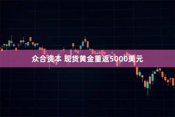 众合资本 现货黄金重返5000美元