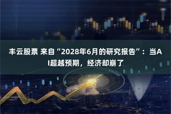 丰云股票 来自“2028年6月的研究报告”：当AI超越预期，经济却崩了