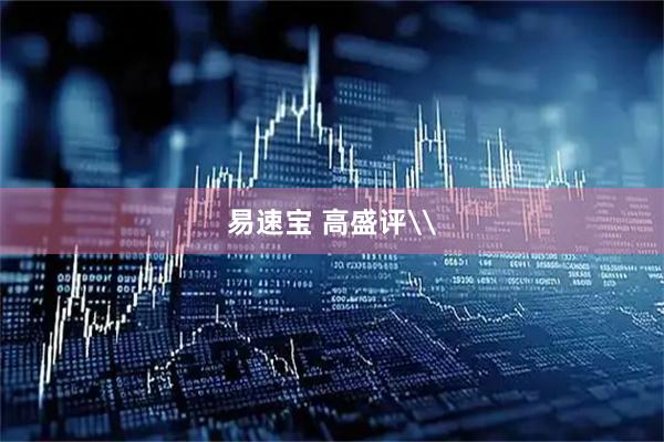 易速宝 高盛评\