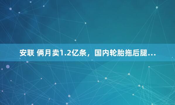 安联 俩月卖1.2亿条，国内轮胎拖后腿…