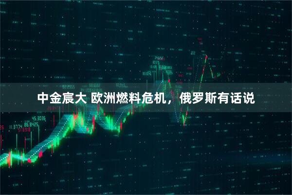 中金宸大 欧洲燃料危机，俄罗斯有话说