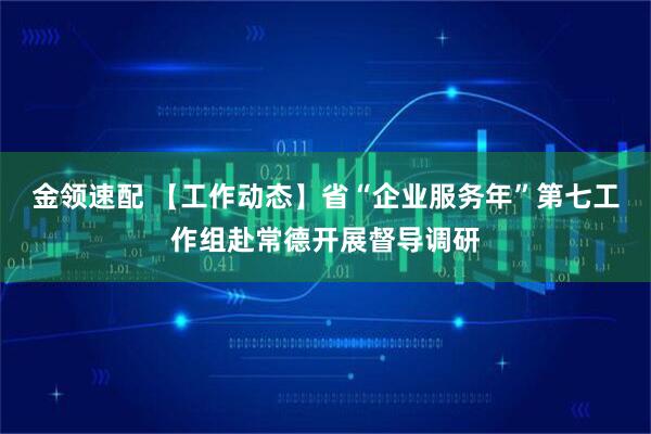 金领速配 【工作动态】省“企业服务年”第七工作组赴常德开展督导调研