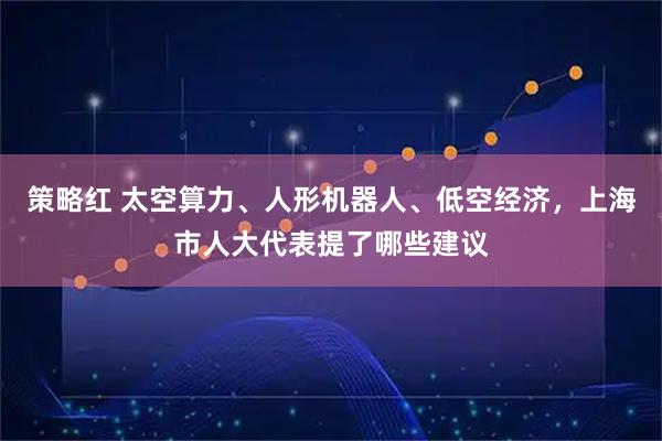 策略红 太空算力、人形机器人、低空经济，上海市人大代表提了哪些建议