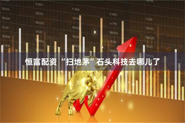 恒富配资 “扫地茅”石头科技去哪儿了