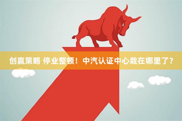 创赢策略 停业整顿!中汽认证中心栽在哪里了?