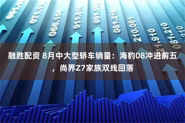 融胜配资 8月中大型轿车销量：海豹08冲进前五，尚界Z7家族双线回落