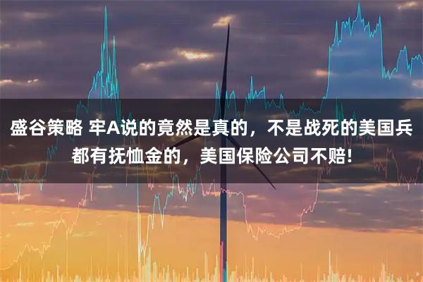 盛谷策略 牢A说的竟然是真的，不是战死的美国兵都有抚恤金的，美国保险公司不赔!