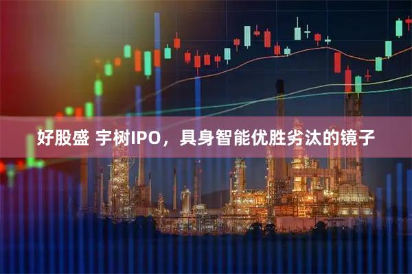 好股盛 宇树IPO，具身智能优胜劣汰的镜子