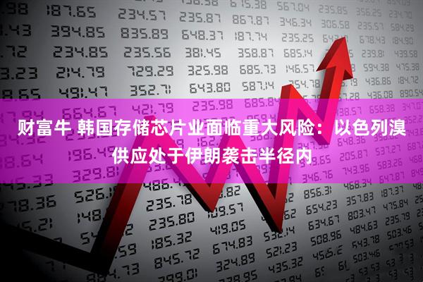 财富牛 韩国存储芯片业面临重大风险：以色列溴供应处于伊朗袭击半径内