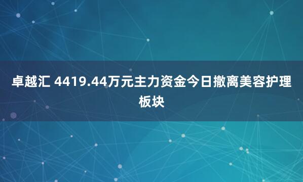 卓越汇 4419.44万元主力资金今日撤离美容护理板块