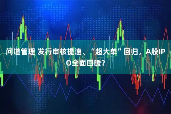 问道管理 发行审核提速、“超大单”回归，A股IPO全面回暖？