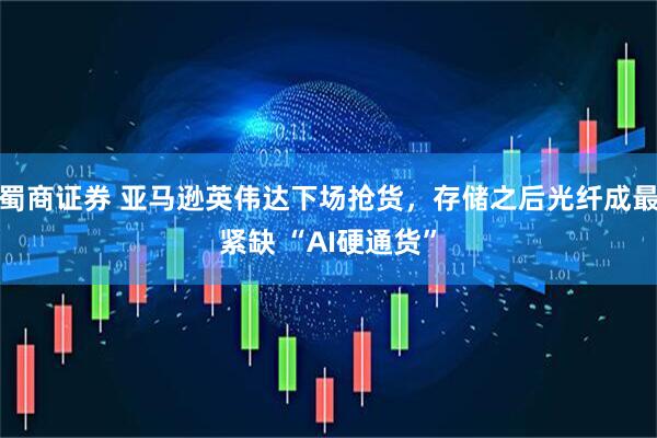蜀商证券 亚马逊英伟达下场抢货，存储之后光纤成最紧缺 “AI硬通货”