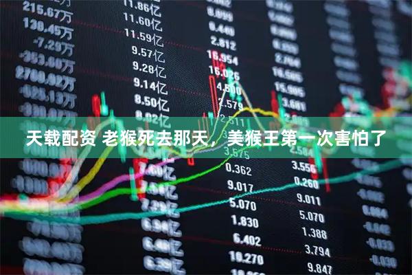 天载配资 老猴死去那天，美猴王第一次害怕了