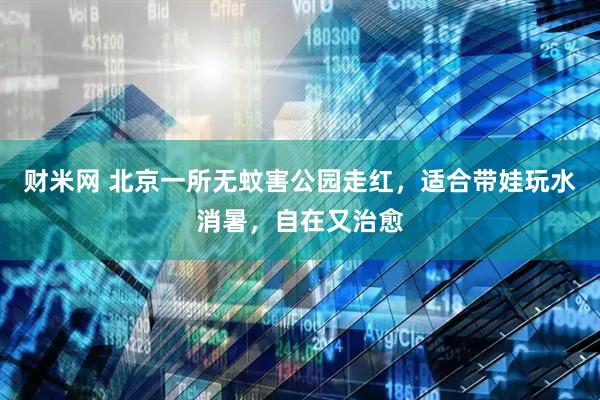 财米网 北京一所无蚊害公园走红，适合带娃玩水消暑，自在又治愈